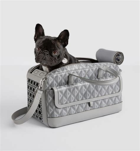 dior hund|Dior pet dog.